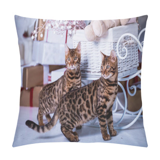 Personality  Playful Cute Cats Spending Time In Games At Home Pillow Covers