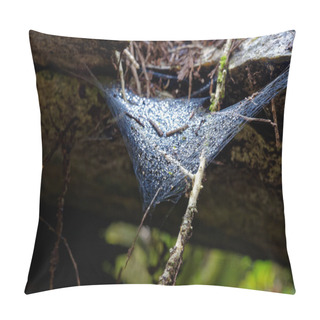 Personality  Sheetweb Spider's Web Pillow Covers
