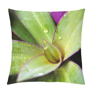 Personality  Plant Detail Pillow Covers