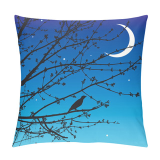 Personality  Night Song Of The Nightingale Pillow Covers