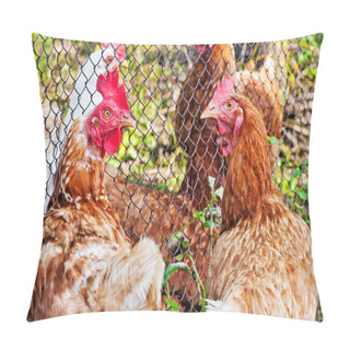 Personality  Chicken Walking Around The Yard. Pillow Covers