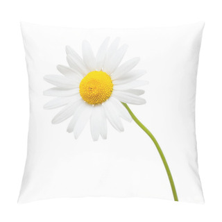 Personality  One White Daisy Flower Isolated On White Background Pillow Covers