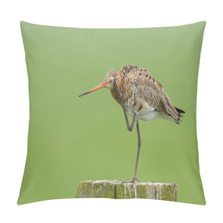 Personality  The Common Snipe  On A Pole Pillow Covers
