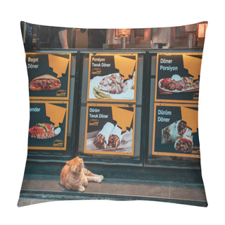 Personality  21.12.2019, Istanbul, Turkey. Red Cat Lies On Trattare Around The Cafe And Looking At The Is Shawarma. Concept Of Hungry Stray Animals. Pillow Covers