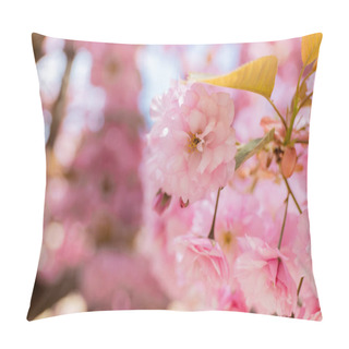 Personality Close Up View Of Blossoming Pink Flowers Of Aromatic Cherry Tree Pillow Covers