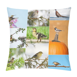 Personality  Birds Throughout Different Seasons Collage. Pillow Covers