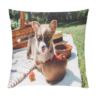 Personality  Adorable Puppy Playing With Strawberries Scattered From Bowl During Picnic At Sunny Day Pillow Covers