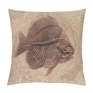 Personality  Fish Fossil Pillow Covers