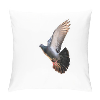 Personality  Movement Scene Of Rock Pigeon Flying In The Air Isolated On Clear Sky Pillow Covers