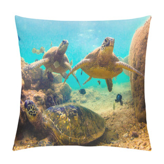 Personality  Hawaiian Green Sea Turtle Cruising The Warm Waters Of The Pacific Ocean In Hawaii Pillow Covers