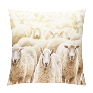 Personality  Livestock Farm, Flock Of Sheep Pillow Covers