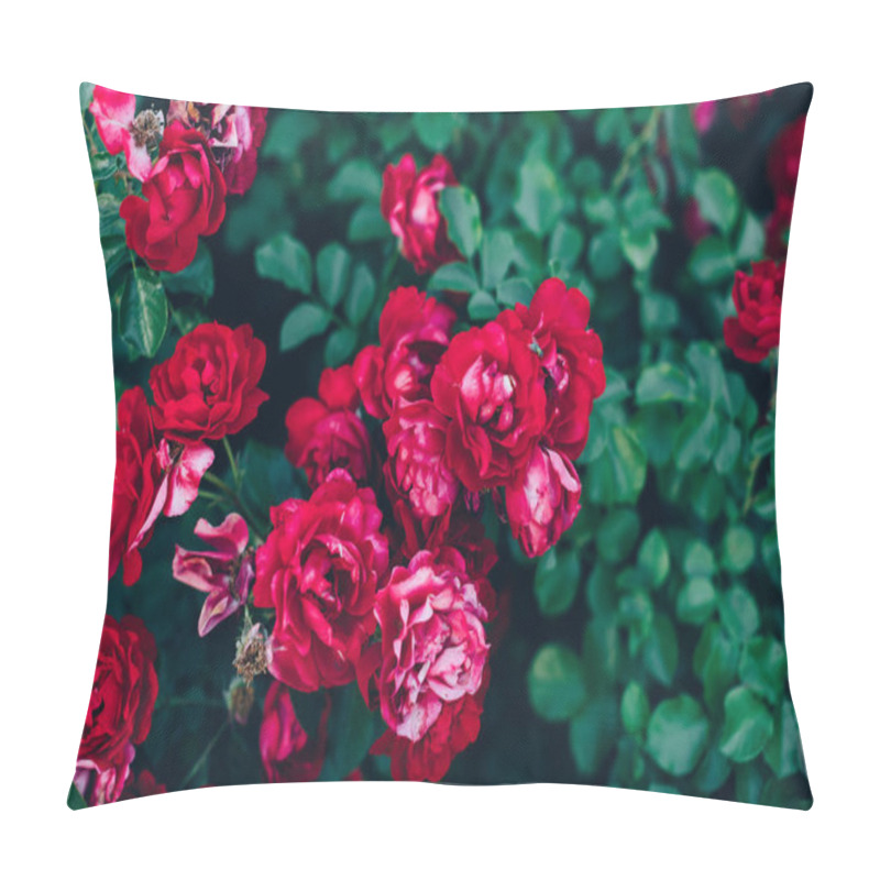 Personality  green rose bushes with big red buds pillow covers