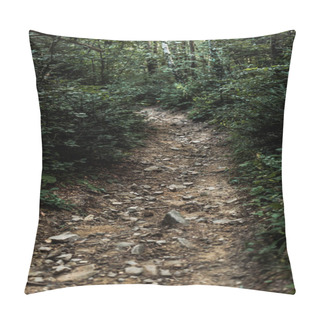 Personality  Stones On Path Near Trees In Green Woods  Pillow Covers