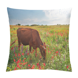 Personality  Cow In Meadow.  Pillow Covers