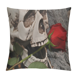 Personality  Skull With Long Stemmed Rose Pillow Covers