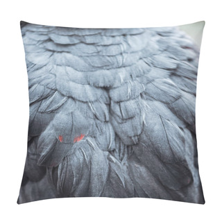 Personality  Close Up View Of Vivid Grey Fluffy Parrot Wings With Feathers Pillow Covers