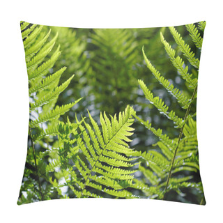Personality  Fern Tree Branches Pillow Covers
