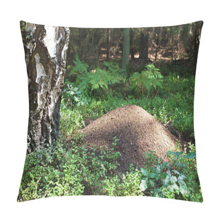 Personality  Big Ant Hill In The Forest Pillow Covers