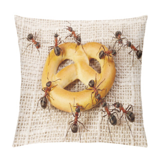 Personality  Ants Solving Problem Of Cake Transportation, Teamwork Pillow Covers
