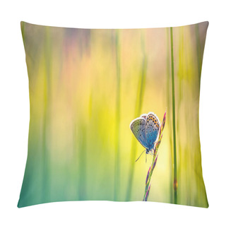 Personality  Nature Background Concept. Beautiful Summer Meadow Background. Inspirational Nature Closeup. Natural Sunset Meadow Grass In Sunlight With Beautiful Bokeh. Lush Grass Macro Butterfly In Nature Outdoors, Wide Format With Copy Space. Pillow Covers