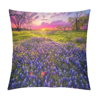 Personality  Dawn Breaks Over A Field Of Bluebonnets And Indian Paintbrushes Near Fredericksburg, TX Pillow Covers