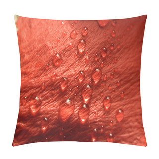 Personality  Water Pillow Covers