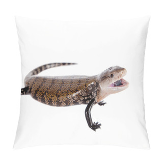 Personality  Eastern Blue-tongued Skink On White Pillow Covers