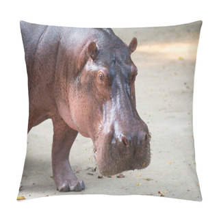 Personality  Hippopotamus  Pillow Covers