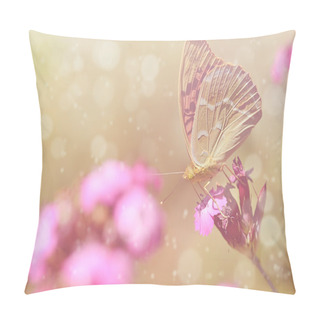 Personality  Dreamy Photo Of A Beautiful Butterfly Pillow Covers