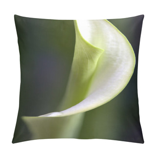 Personality  Close Up Lily Pillow Covers