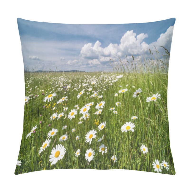 Personality  White daisies in spring meadow. Ox-eye daisy. Leucanthemum vulgare. Idyllic view on beautiful marguerites in green grass. Wild flowers in romantic rural landscape. Blue sky and white clouds. pillow covers