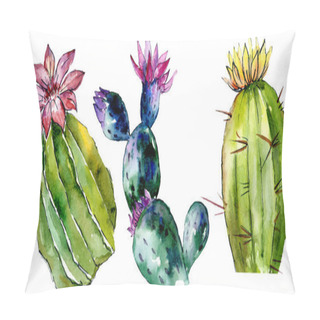 Personality  Beautiful Green Cactuses Isolated On White. Watercolor Background Illustration. Watercolour Drawing Fashion Aquarelle Isolated Cacti Illustration Elements. Pillow Covers