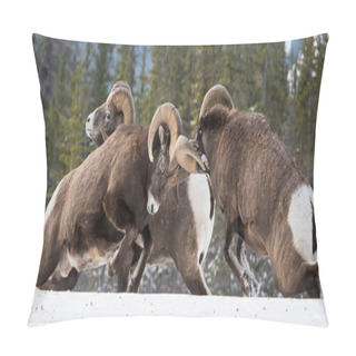 Personality  Bighorn Sheep, Rams. Nature, Fauna Pillow Covers