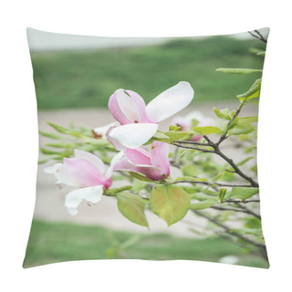 Personality  Close Up View Of Blooming Flowers With Pink And White Petals On Tree Branches Pillow Covers