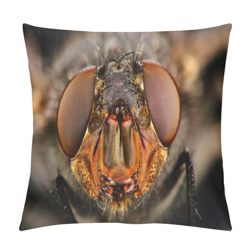 Personality  Portrait Of Fly. Front View Pillow Covers