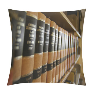 Personality  Law Books Pillow Covers