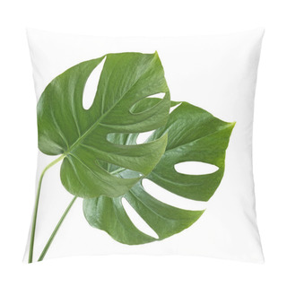 Personality  Two Tropical Jungle Monstera Leaves Isolated On A White Backgrou Pillow Covers