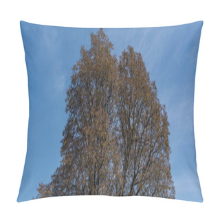 Personality  Panoramic Shot Of Autumnal Trees With Blue Sky At Background Pillow Covers