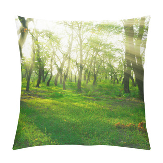 Personality  Sunbeams In Spring Forest Pillow Covers