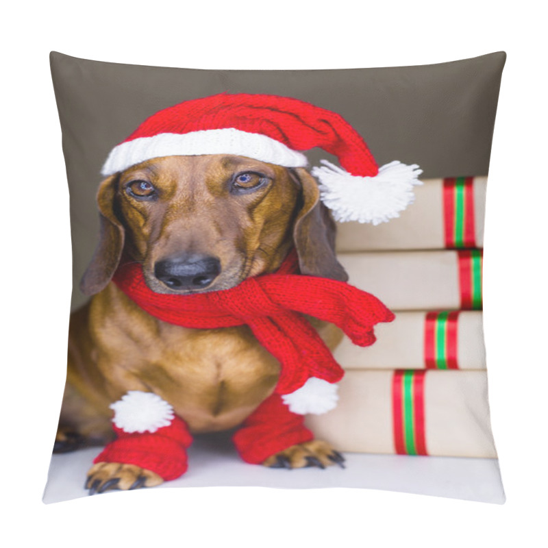 Personality  Christmas Dog pillow covers