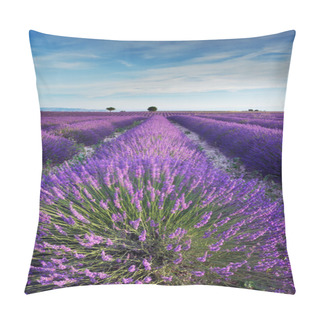 Personality  Lavender Field In Provence In The Early Hours Of The Morning Pillow Covers