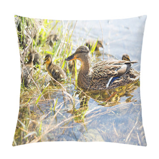 Personality  Mallard Duck With Ducklings On The River Pillow Covers