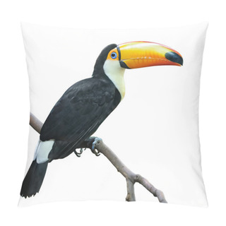 Personality  Toucan Pillow Covers