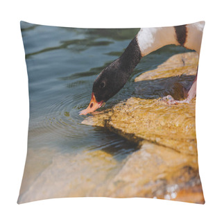 Personality  Selective Focus Of Duck Drinking Water From Pond Pillow Covers