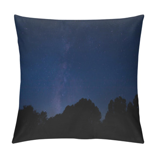 Personality  Bright Stars And MilkyWay Over The Trees In North Carolina Pillow Covers
