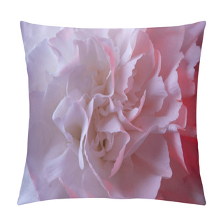 Personality  Close Up Of White Carnation Flower With Pink Light Pillow Covers