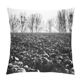 Personality  Rural Landscape In Poland Pillow Covers