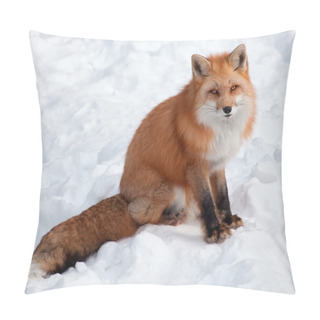 Personality  Young Red Fox In The Snow Looking At The Camera Pillow Covers