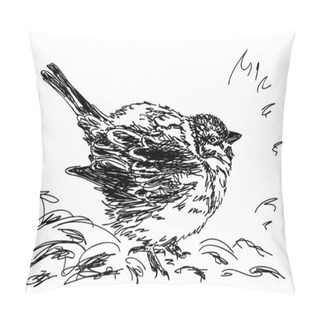 Personality  Hand Drawn Bird Pillow Covers