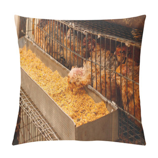 Personality  Young Quail Fattening In Cages On A Quail Farm. Pillow Covers